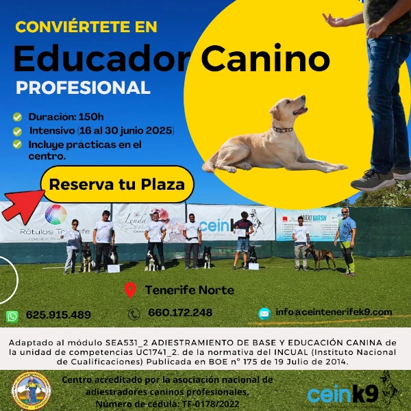 Curso de adiestramiento de base y educación canina